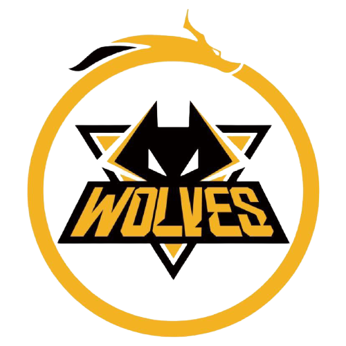 世界杯的临 世界杯的临