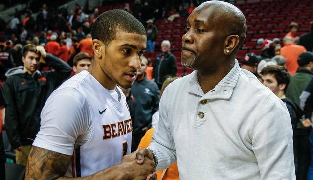 合作奠定了 合作奠定了