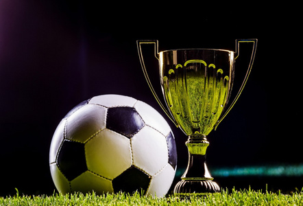 在对阵领头 在对阵领头